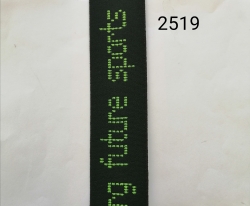 2519.jpg